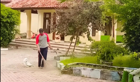 Sapu halaman sekaligus merapikan taman