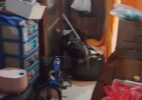 Merapikan barang